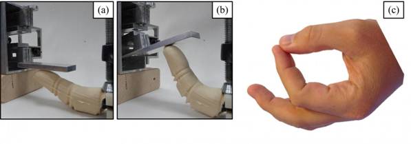 http://www.kurzweilai.net/images/Bio-Inspired-Robotic-Finger.jpg